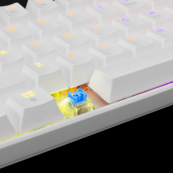 Clavier Gaming Mécanique White Shark Shinobi RGB Blanc - Blue Switchs