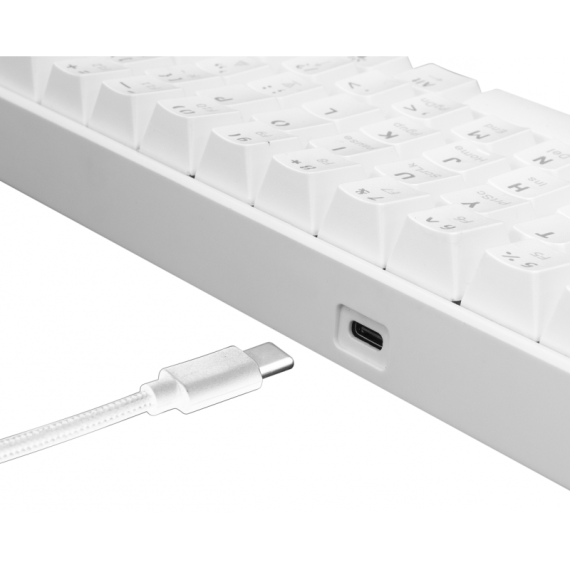 Clavier Gaming Mécanique White Shark Shinobi RGB Blanc - Blue Switchs