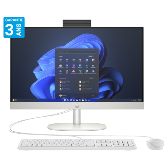 PC DE BUREAU ALL IN ONE HP PROONE 240 G10 I5 13È GÉN 12GO 512GO SSD