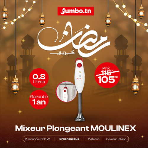 mixeur-plongeant-moulinex